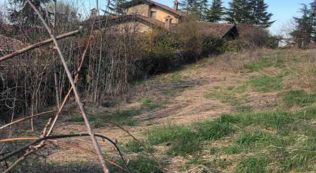 immagine annuncio 5 di 13