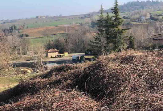 immagine annuncio 1 di 11