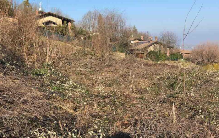 immagine annuncio 1 di 11