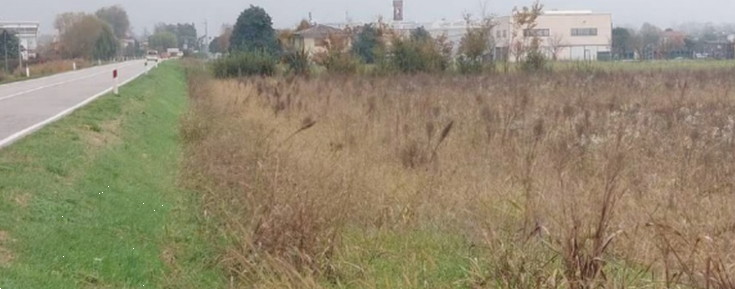 immagine annuncio 1 di 13