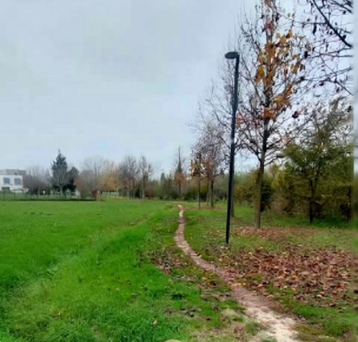 immagine annuncio 12 di 13