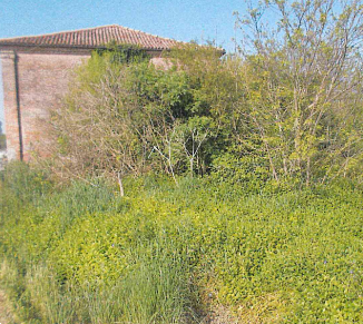 immagine annuncio 1 di 13