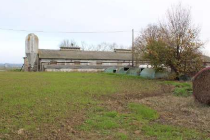 immagine annuncio 3 di 13