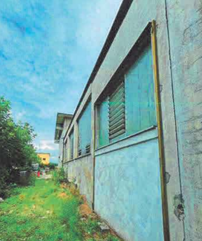 immagine annuncio 2 di 13