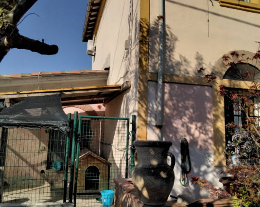 immagine annuncio 3 di 13