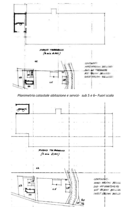 immagine annuncio 12 di 13