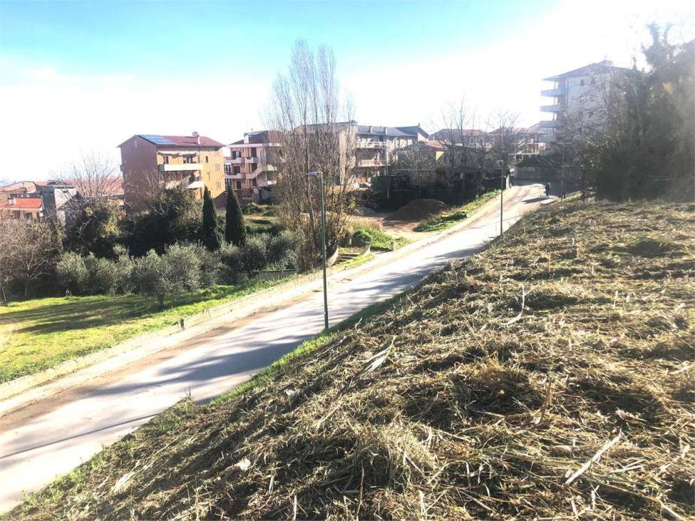 immagine annuncio 2 di 4