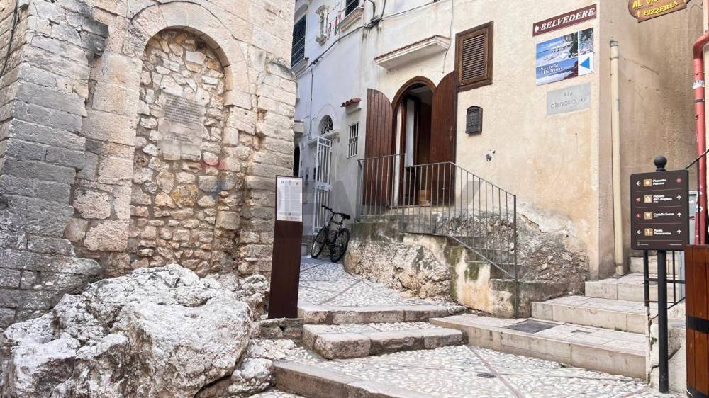 immagine annuncio 12 di 13