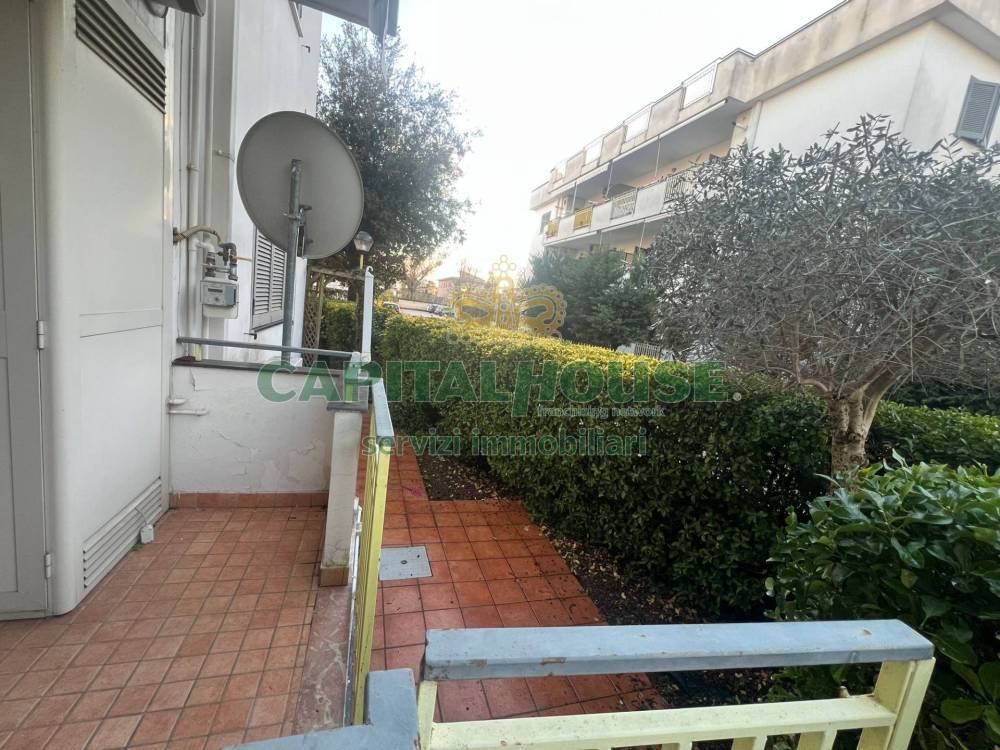 immagine annuncio 3 di 8