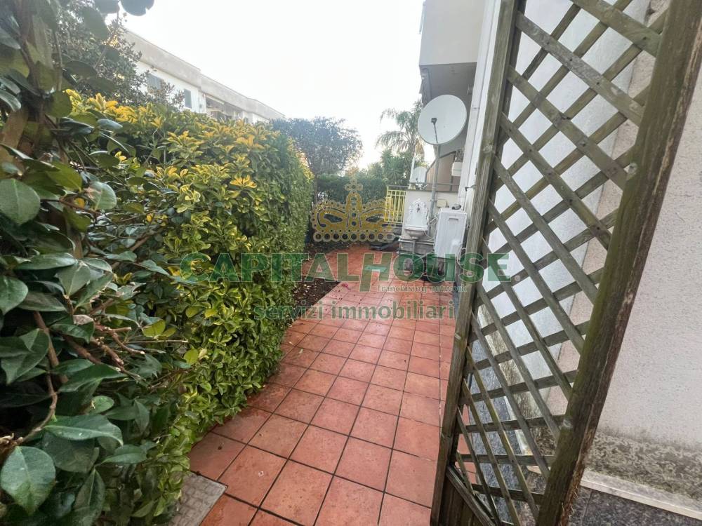 immagine annuncio 4 di 8