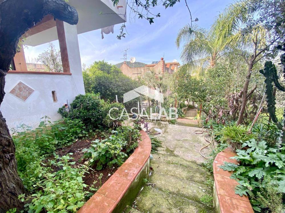 immagine annuncio 2 di 13