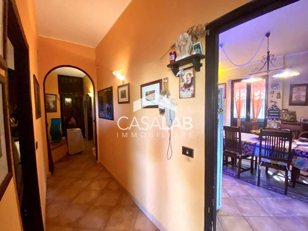 immagine annuncio 4 di 13