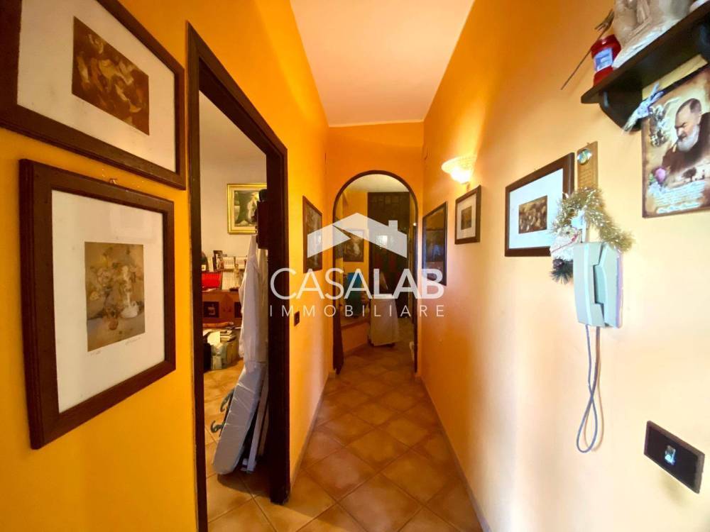 immagine annuncio 12 di 13