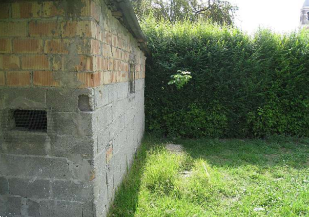 immagine annuncio 7 di 13