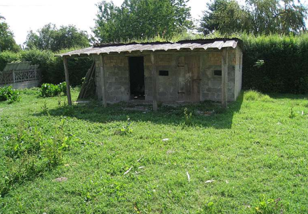 immagine annuncio 8 di 13