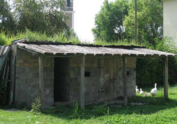 immagine annuncio 12 di 13