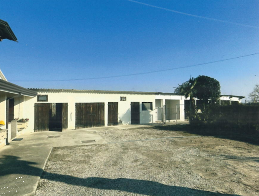 immagine annuncio 5 di 13