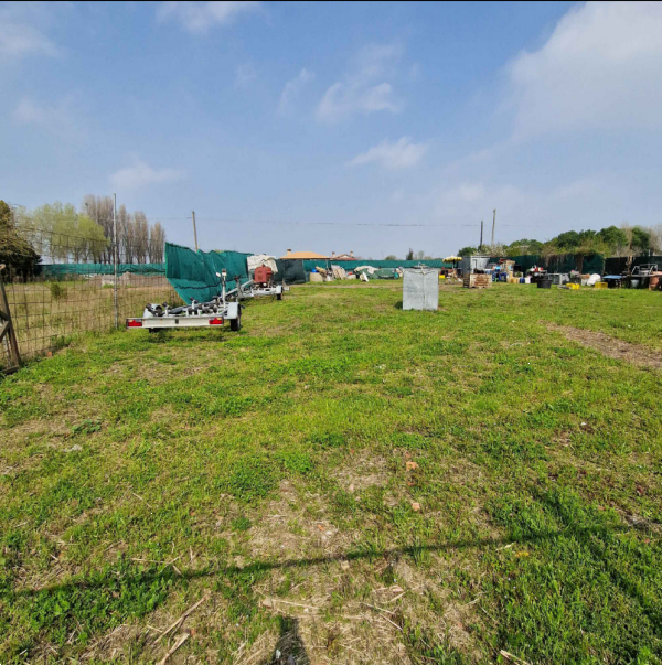 immagine annuncio 3 di 13