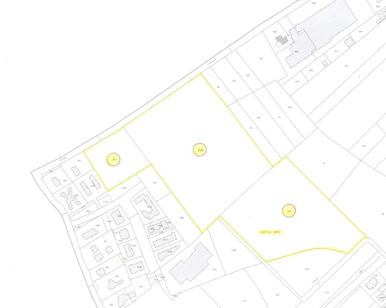 immagine annuncio 3 di 12