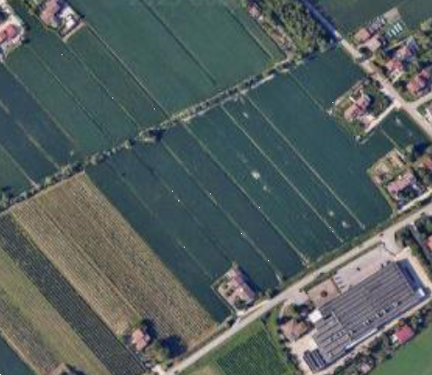 immagine annuncio 7 di 12