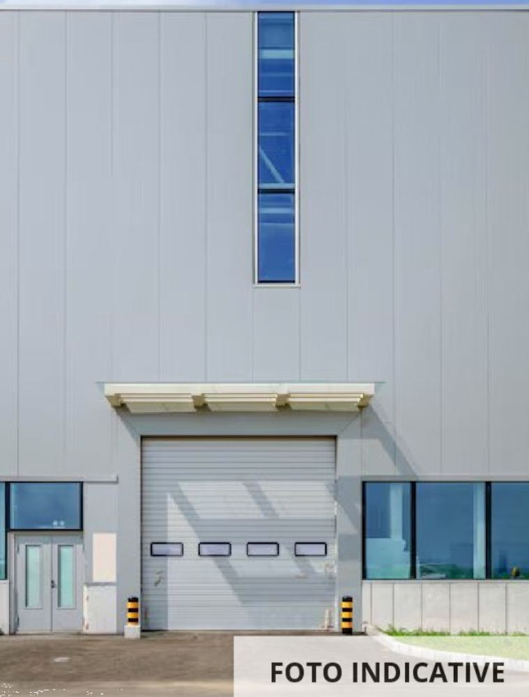 immagine annuncio 3 di 11