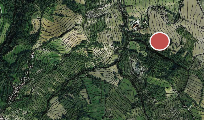 immagine annuncio 1 di 13