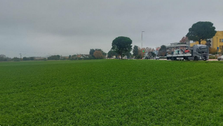 immagine annuncio 5 di 13