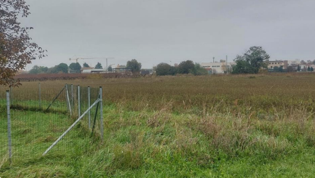 immagine annuncio 6 di 13