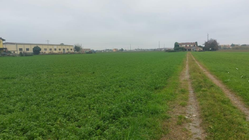 immagine annuncio 8 di 13