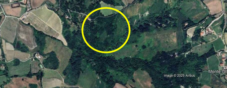 immagine annuncio 3 di 13