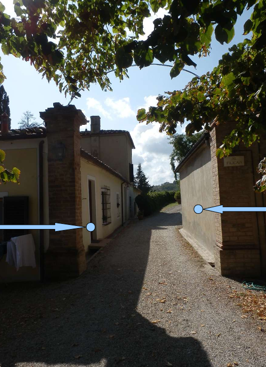 immagine annuncio 12 di 13