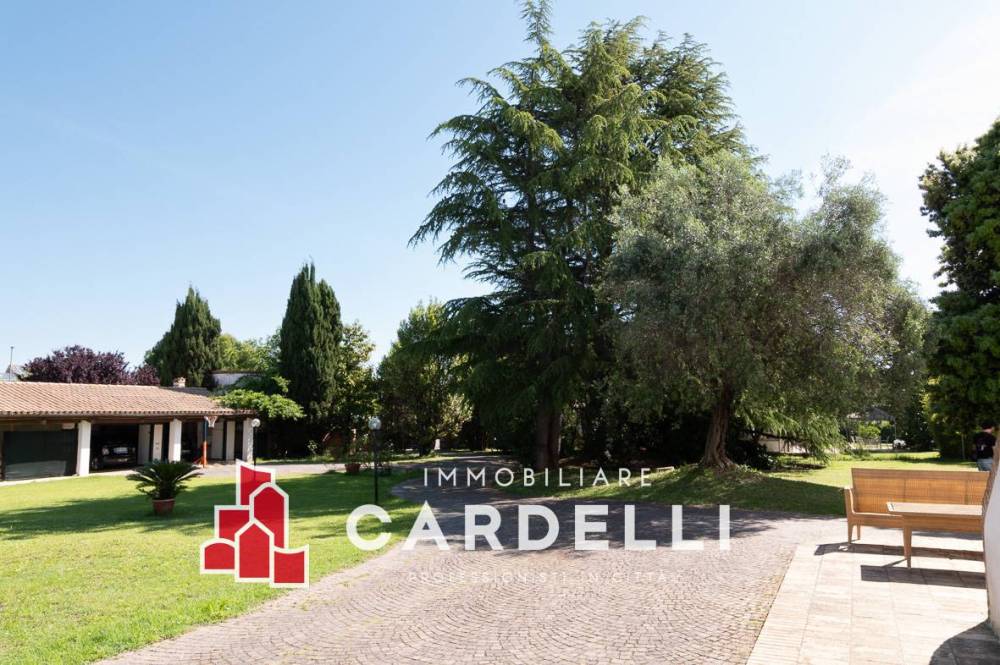 immagine annuncio 6 di 13