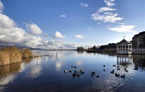 immagine annuncio 10 di 13