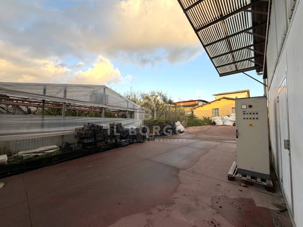 immagine annuncio 5 di 12