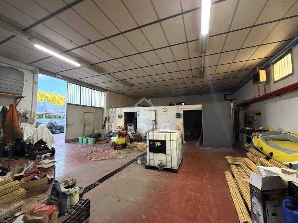 immagine annuncio 2 di 12