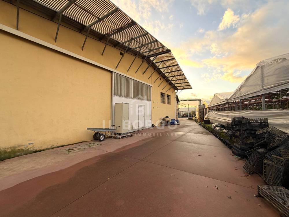 immagine annuncio 9 di 12