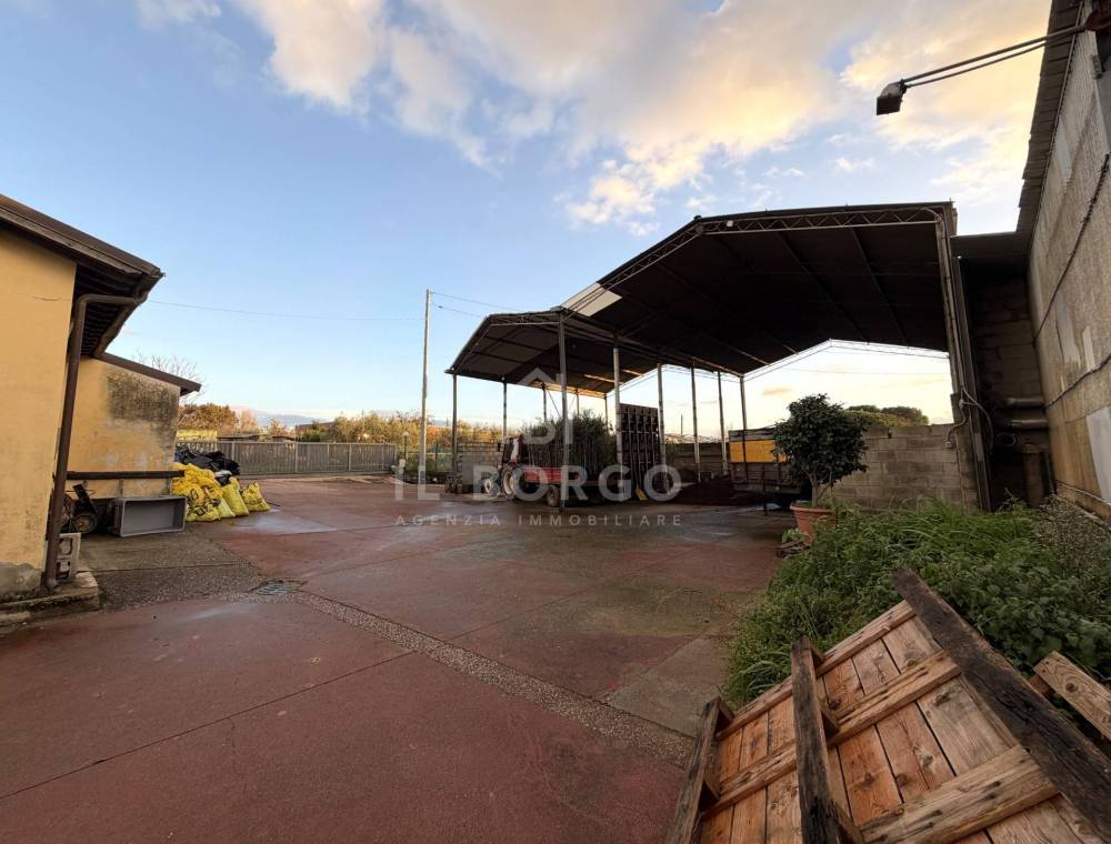 immagine annuncio 6 di 12