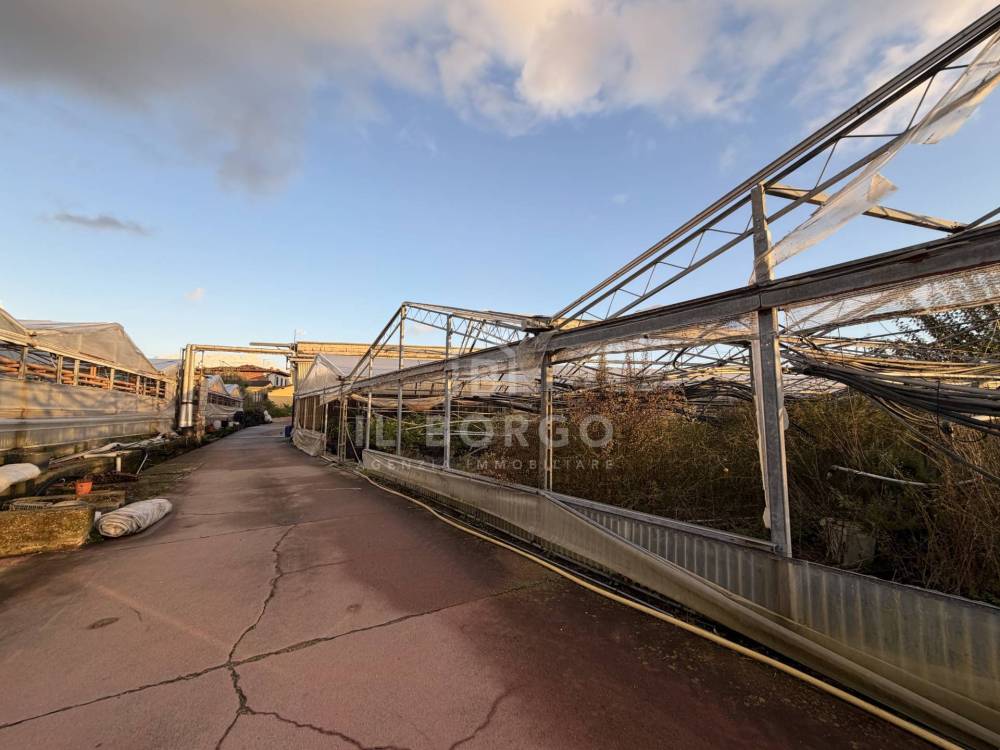 immagine annuncio 10 di 12