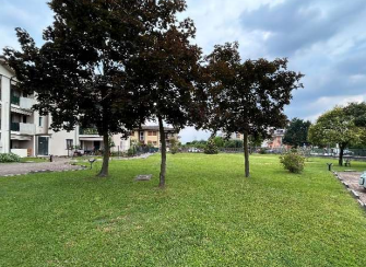 immagine annuncio 2 di 13