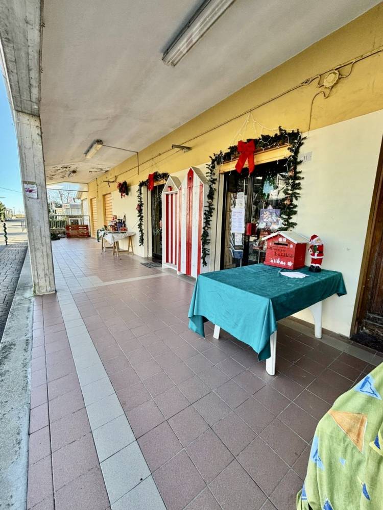 immagine annuncio 10 di 13