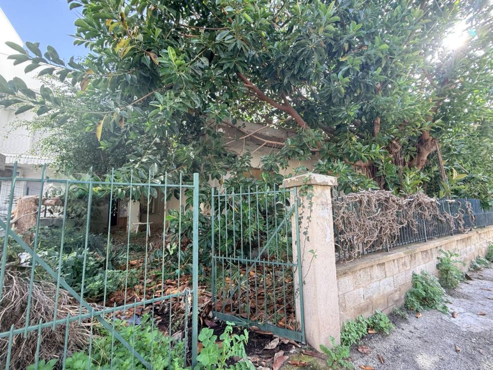 immagine annuncio 7 di 14