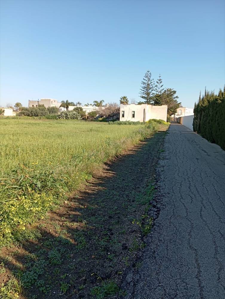 immagine annuncio 10 di 11