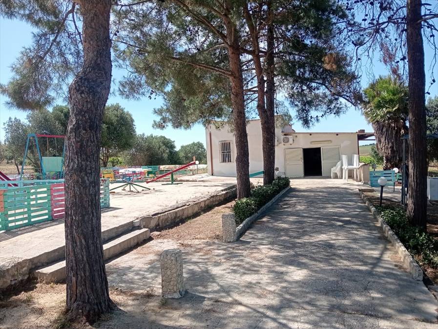 immagine annuncio 5 di 13