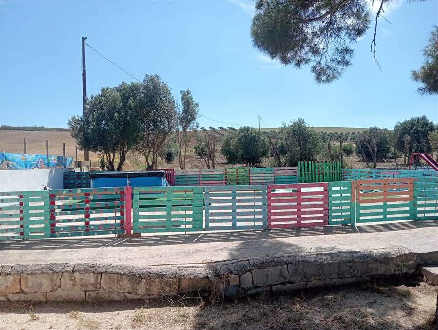 immagine annuncio 7 di 13