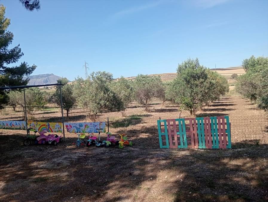 immagine annuncio 4 di 13