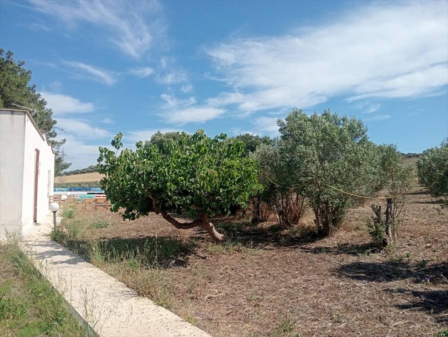 immagine annuncio 12 di 13