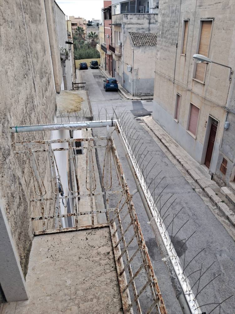 immagine annuncio 2 di 7