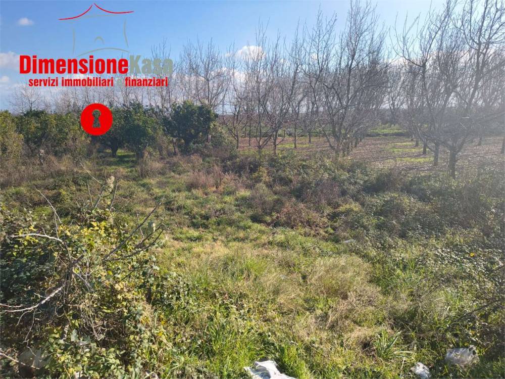 immagine annuncio 3 di 4