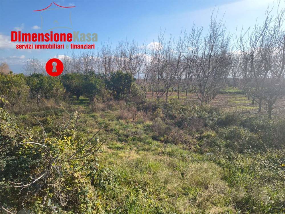 immagine annuncio 2 di 4