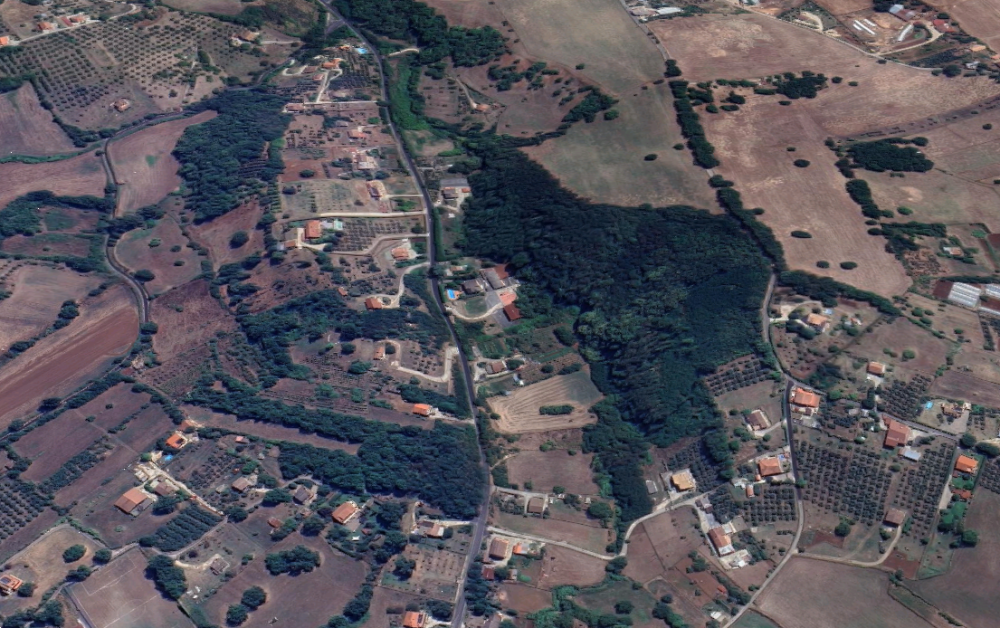 immagine annuncio 11 di 13